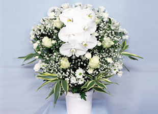 生花(供花) 洋花バラ16,200円