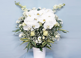 生花(供花) 洋花バラ21,600円